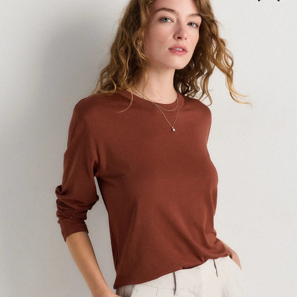 Zara Rich Brown Long Sleeve Top